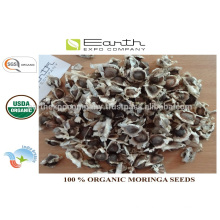 Organic Moringa seeeds